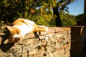  Podere Il Trebbio  Гайоле В Кьянти
